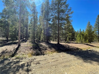 251 Virginia Ave, Leadville, CO 80461