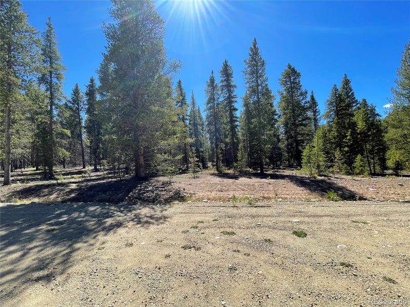 251 Virginia Ave, Leadville, CO 80461