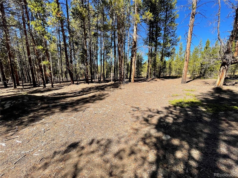 451 Virginia Ave, Leadville, CO 80461