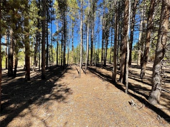 451 Virginia Ave, Leadville, CO 80461