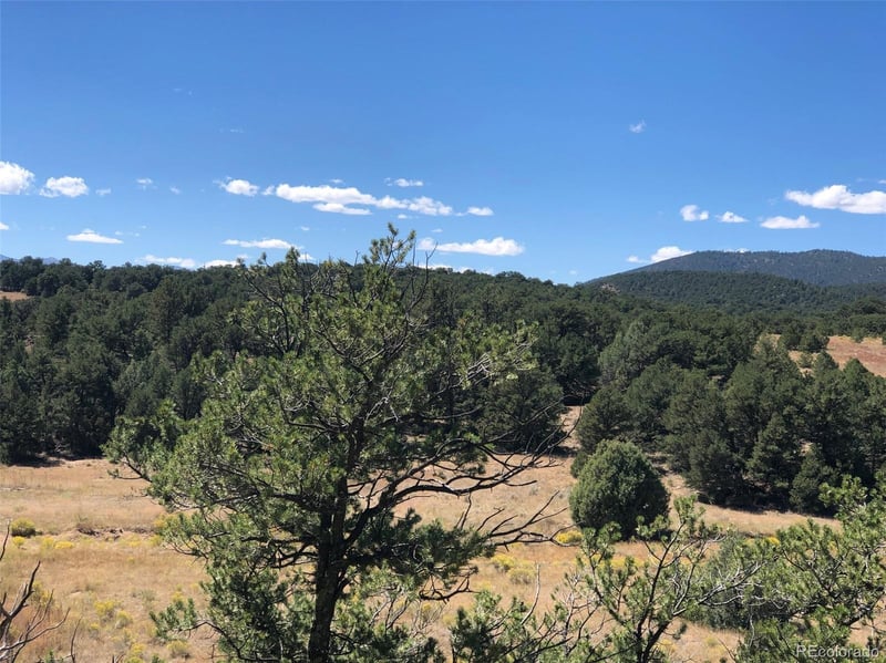 31 AC Cr 634 2, Gardner, CO 81040