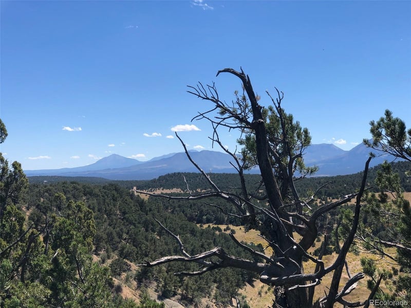 31 AC Cr 634 2, Gardner, CO 81040