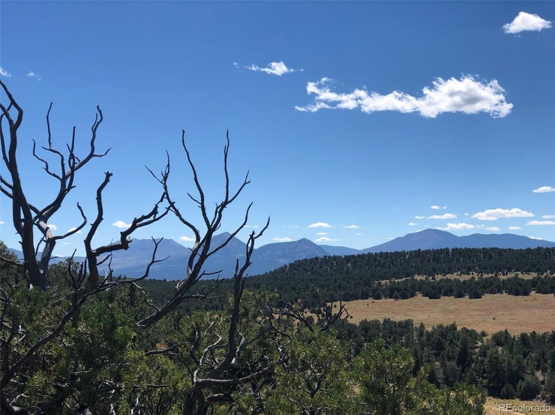 31 AC Cr 634 2, Gardner, CO 81040