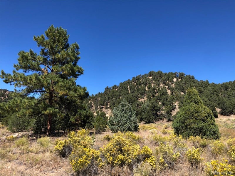31 AC Cr 634 2, Gardner, CO 81040