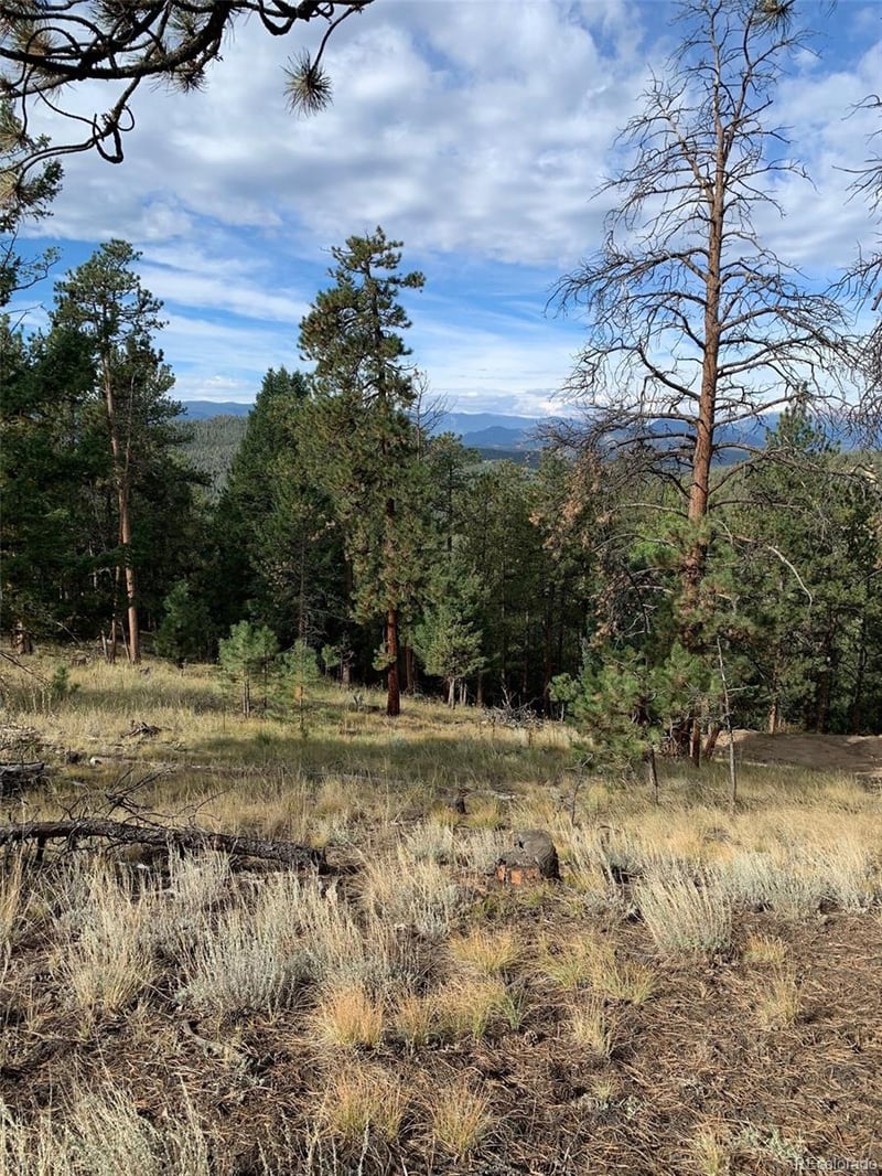 25554 Shiloh Cir, Conifer, CO 80433