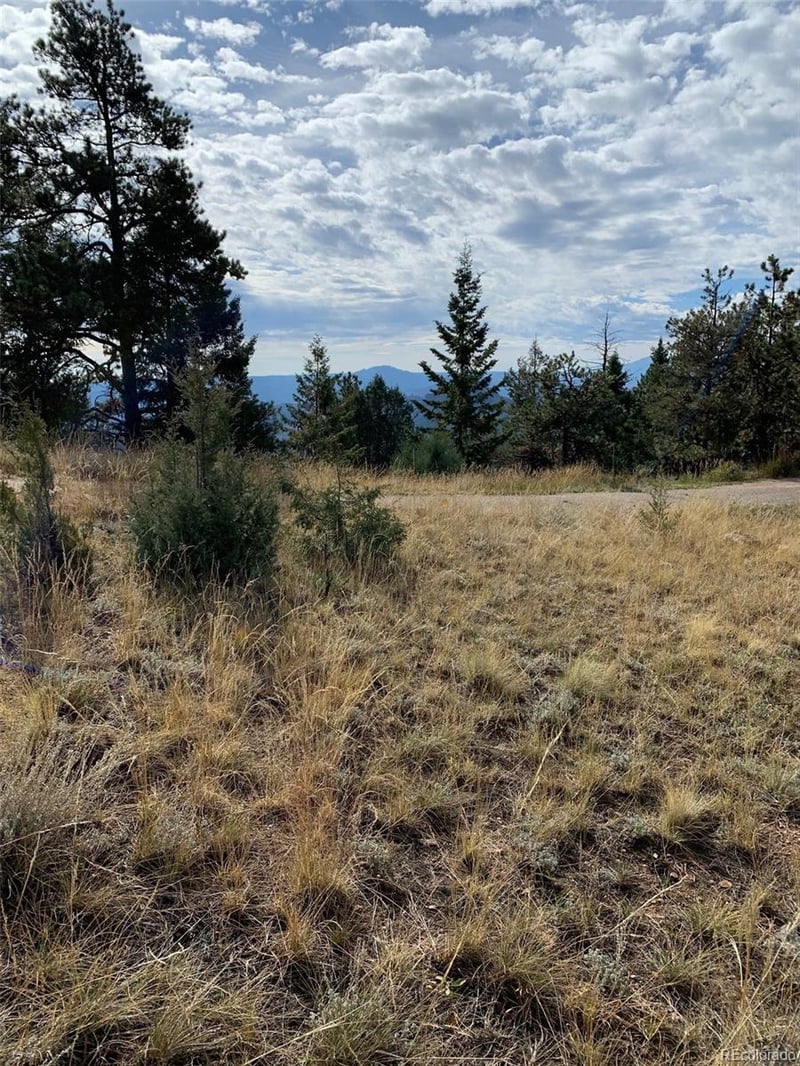 25554 Shiloh Cir, Conifer, CO 80433