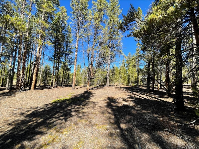 300 Virginia Ave, Leadville, CO 80461