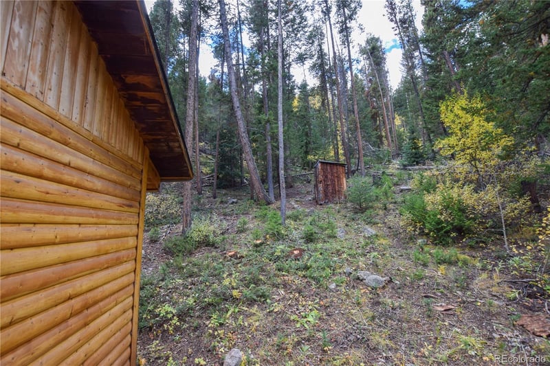 420 Morrison Ln, Empire, CO 80438