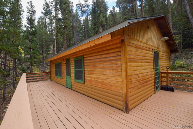 420 Morrison Ln, Empire, CO 80438