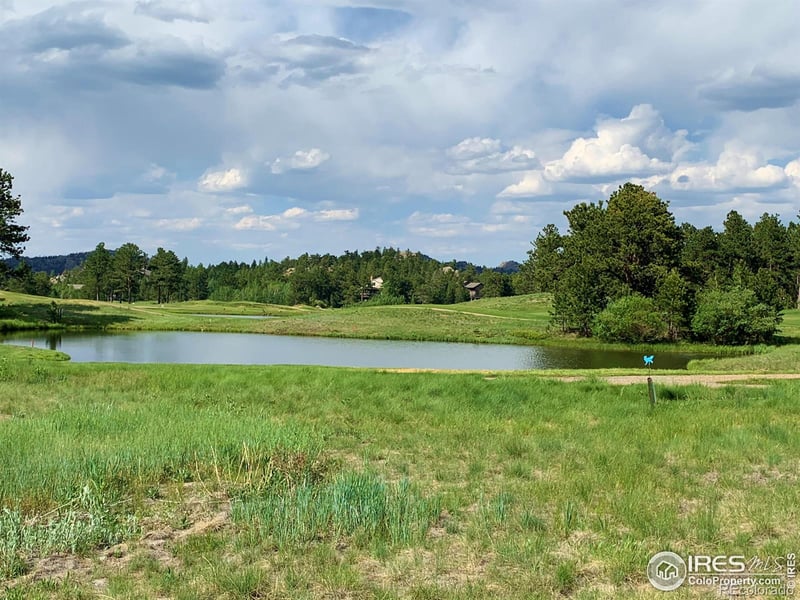 4 Fox Meadow Ln, Red Feather Lakes, CO 80545