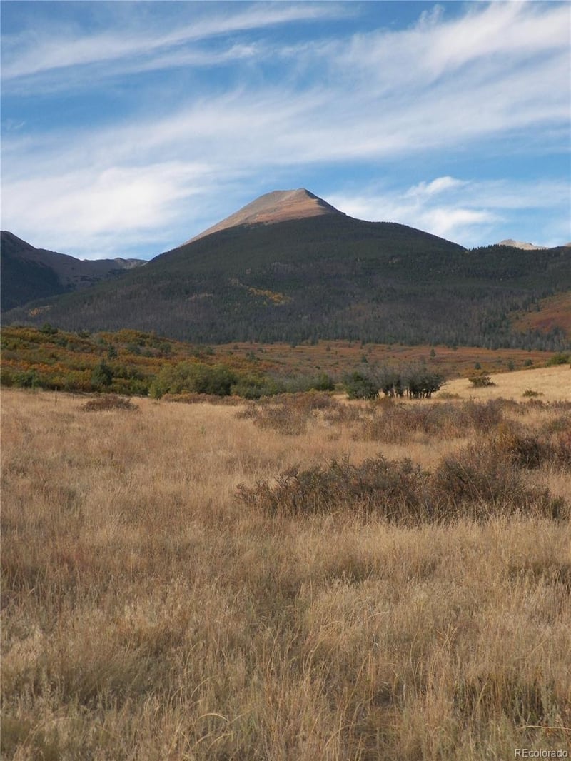 2424 Running Bear Lot 24, Cotopaxi, CO 81223