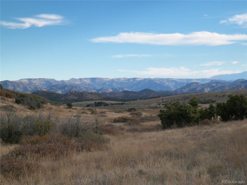 2424 Running Bear Lot 24, Cotopaxi, CO 81223