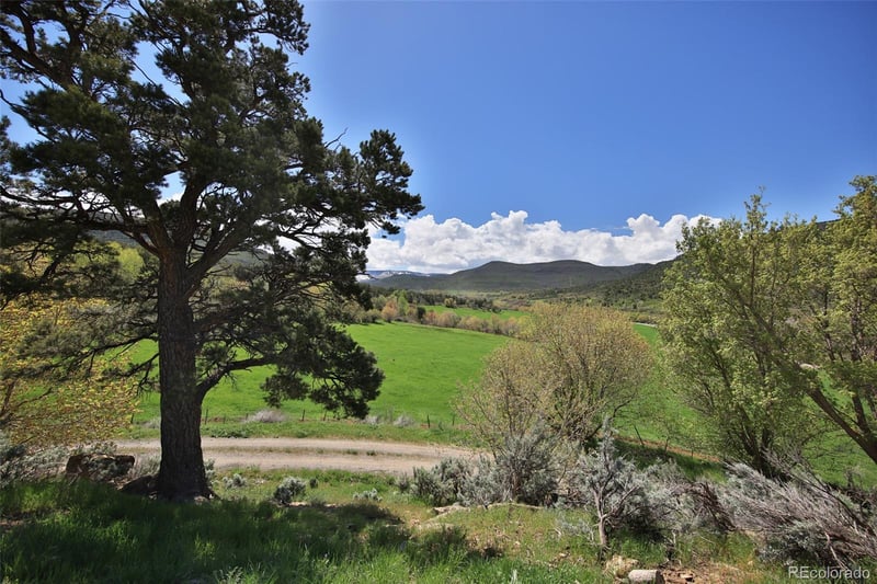 61254 Salt Creek Rd, Collbran, CO 81624