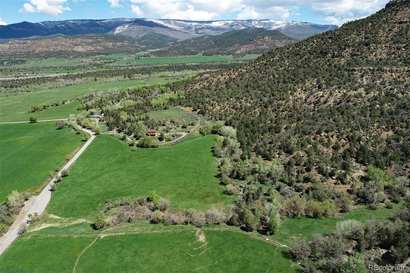 61254 Salt Creek Rd, Collbran, CO 81624