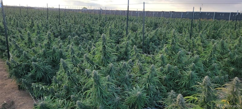 8096 Maverick Ln, Ordway, CO 81063