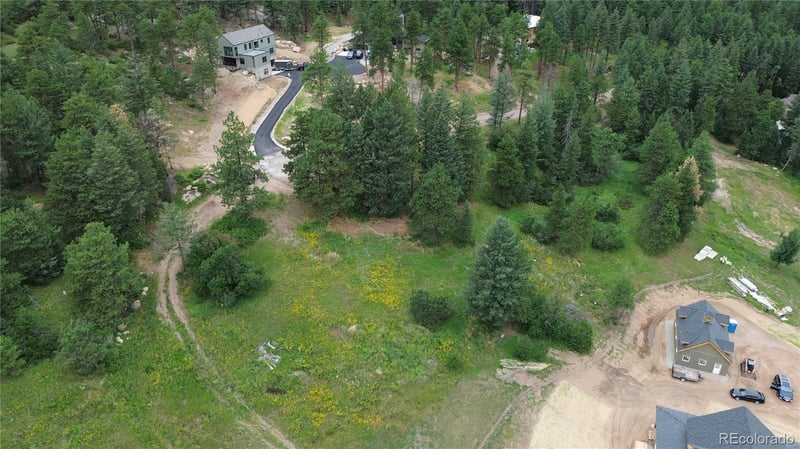 8222 Stags Leap Trl, Morrison, CO 80465