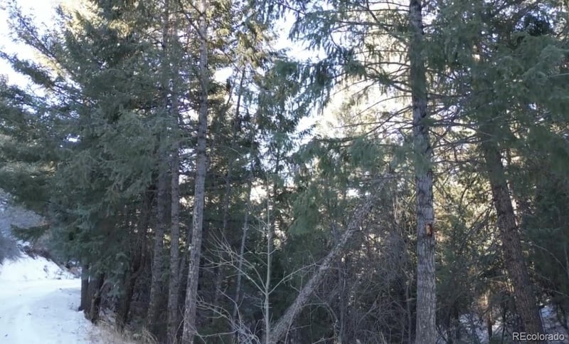 0 Hondah Rd, Littleton, CO 80127