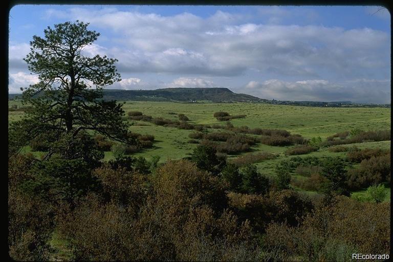 3166 Tweet Pl Lot 10, Sedalia, CO 80135