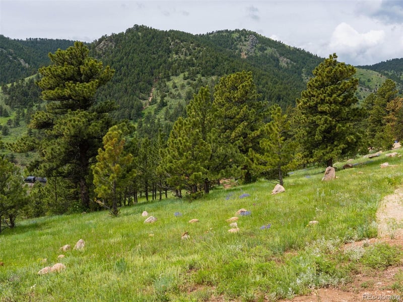 20 Canyon Pines Dr Lot 46, Arvada, CO 80403