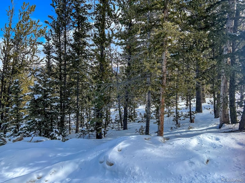 R0029767 , Cripple Creek, CO 80813