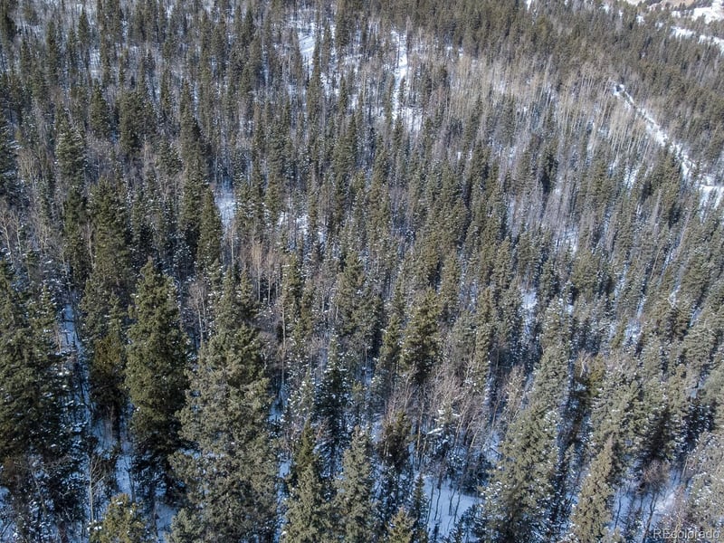 R0029767 , Cripple Creek, CO 80813