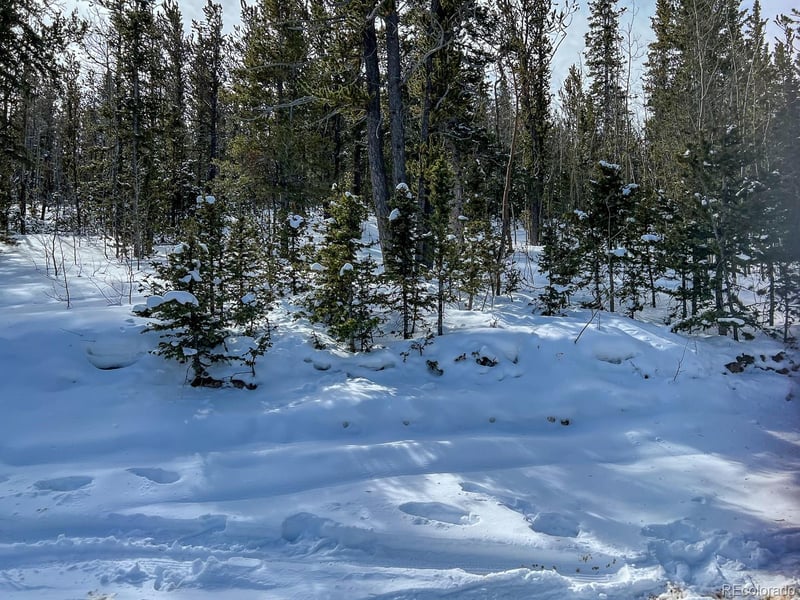 R0029767 , Cripple Creek, CO 80813