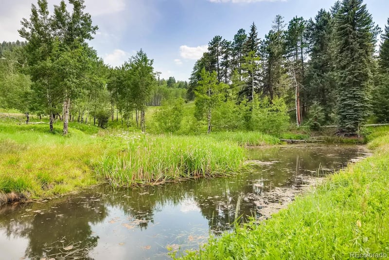 9770 Hilldale Dr, Morrison, CO 80465