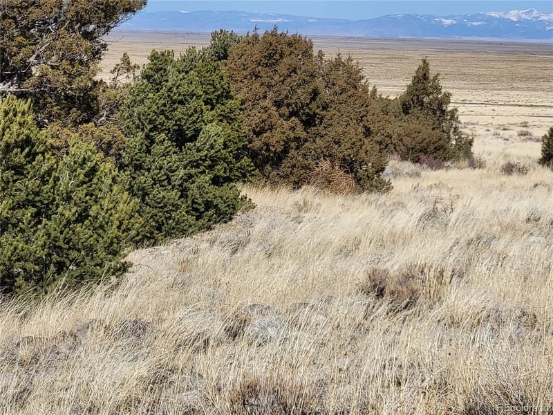 511 Mill Run Rd, Mosca, CO 81146