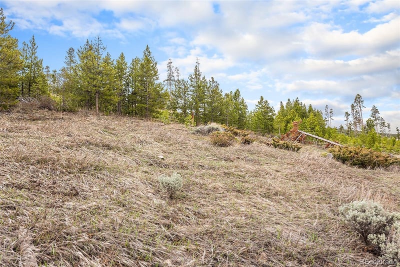 760 Shoshoni Ln, Granby, CO 80446