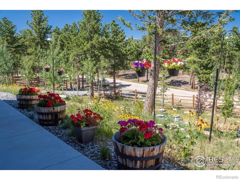 315 Indian Peaks Dr, Nederland, CO 80466