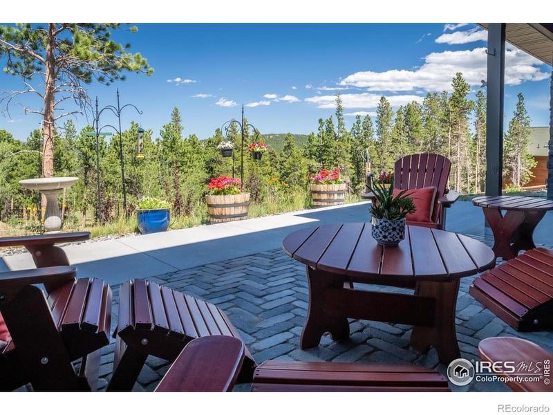 315 Indian Peaks Dr, Nederland, CO 80466
