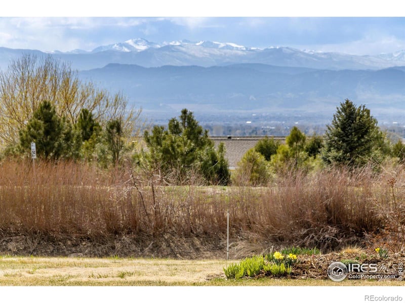 3991 Roper Trl, Severance, CO 80524