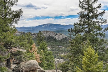 25925 Lost Cabin Trl, Evergreen, CO 80439