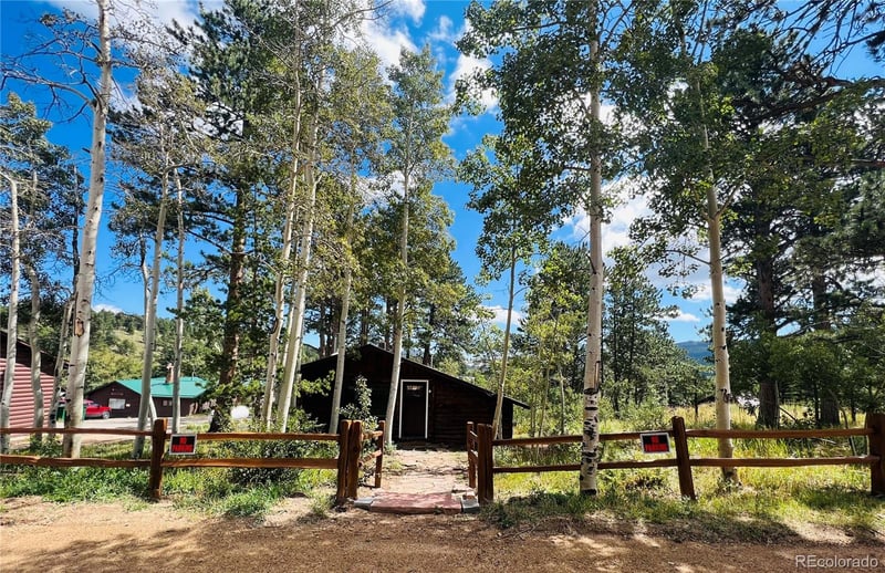 25 Washington St, Allenspark, CO 80510