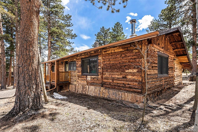25 Washington St, Allenspark, CO 80510