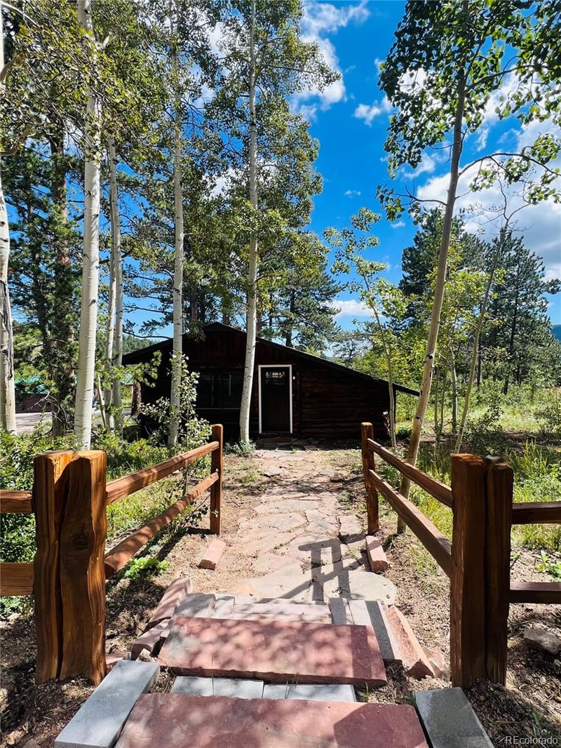 25 Washington St, Allenspark, CO 80510