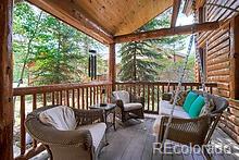 81 Saw Whiskers Cir, Dillon, CO 80435