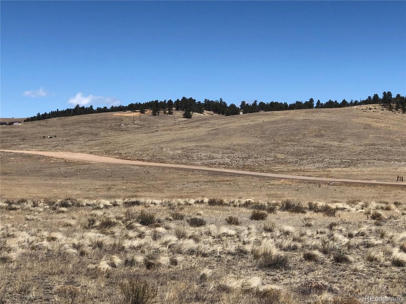 121 Commanche Trl, Hartsel, CO 80449