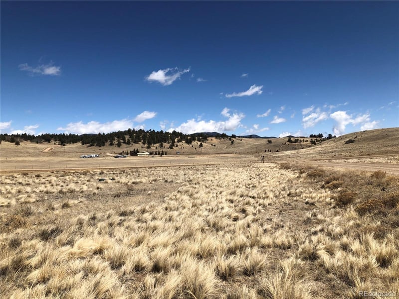 121 Commanche Trl, Hartsel, CO 80449