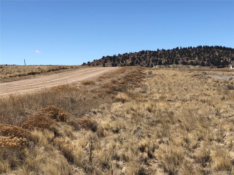 121 Commanche Trl, Hartsel, CO 80449