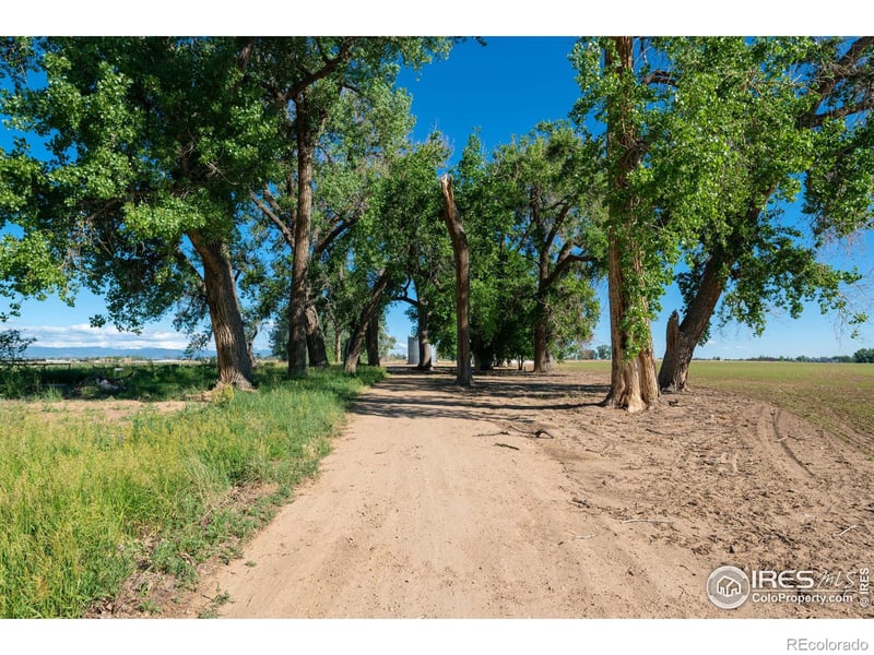 15301 Ypsilon Cir, Mead, CO 80542
