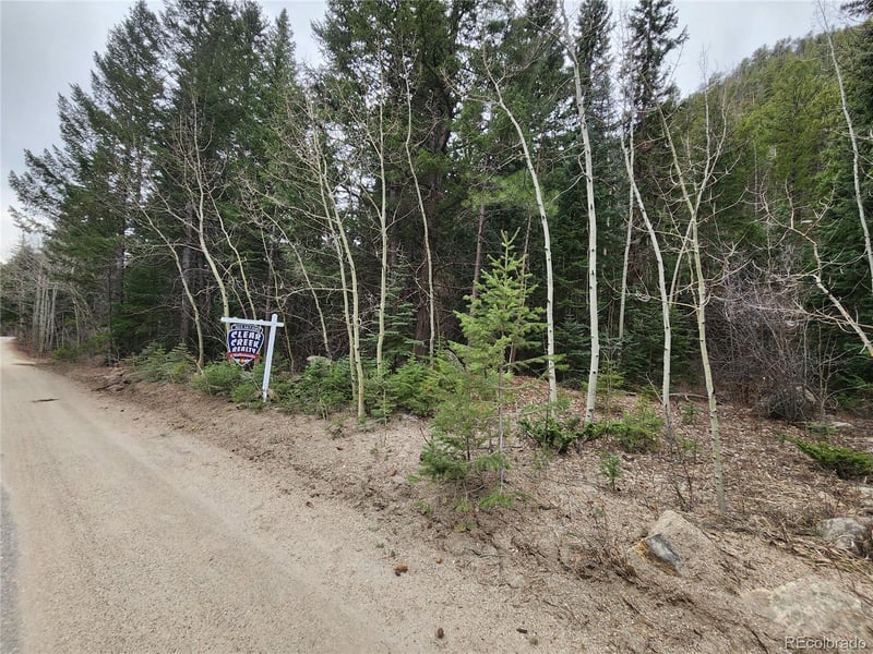 1100 Mill Creek Rd, Dumont, CO 80436