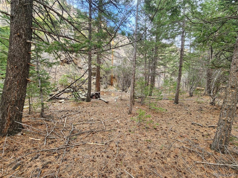 1100 Mill Creek Rd, Dumont, CO 80436