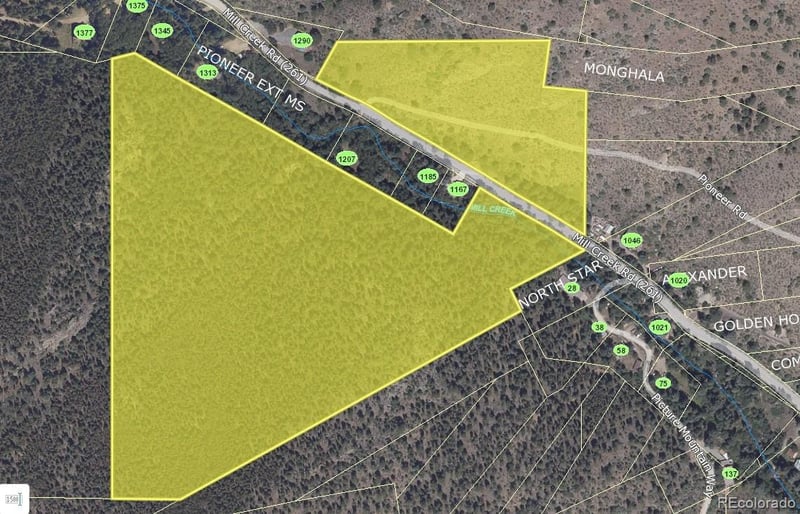 1100 Mill Creek Rd, Dumont, CO 80436