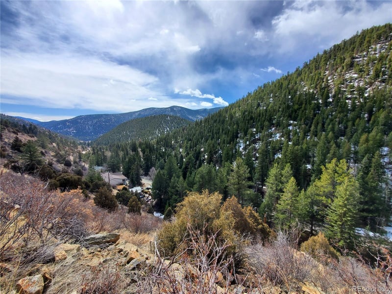 1100 Mill Creek Rd, Dumont, CO 80436