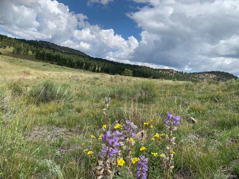 1485 Eagle Valley Rd Lot 36, Westcliffe, CO 81252
