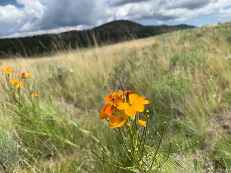 1485 Eagle Valley Rd Lot 36, Westcliffe, CO 81252