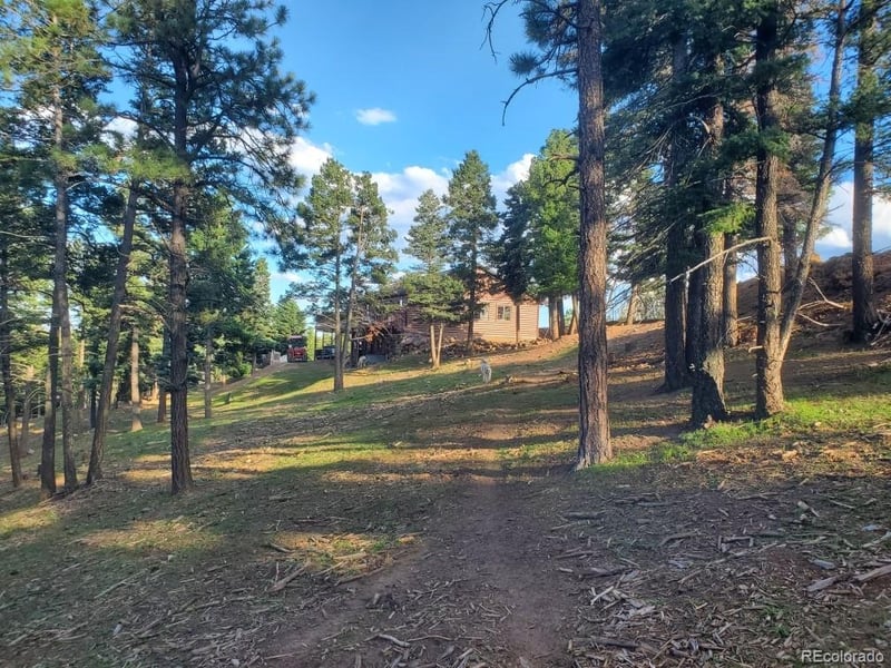19503 Constanti Ridge Rd, Weston, CO 81091