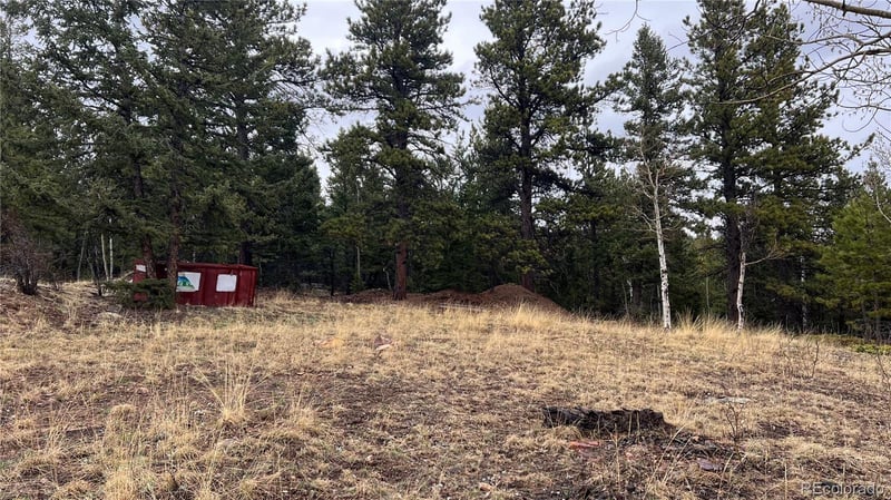 001 Russell Gulch Rd, Central City, CO 80427
