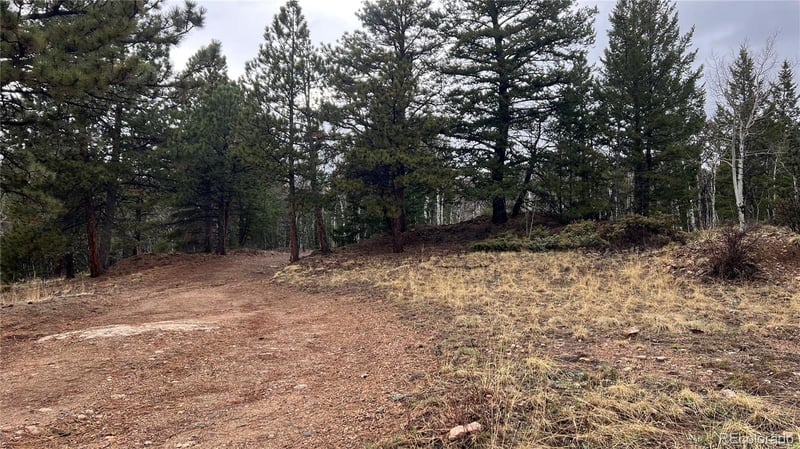 001 Russell Gulch Rd, Central City, CO 80427